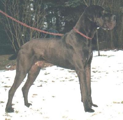 Nico Von Der Stadt Luneburg