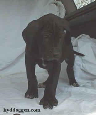 Franja Vom Sprendlinger Tal