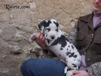 Ultrakahn Des Terres De La Rairie