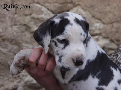 Ultrakahn Des Terres De La Rairie