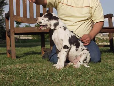 Ultrakahn Des Terres De La Rairie