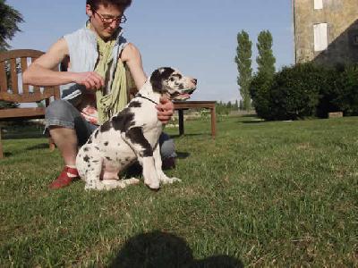 Ultrakahn Des Terres De La Rairie