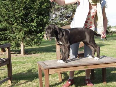 Ushana Des Terres De La Rairie