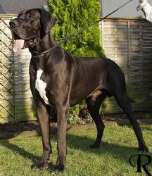 Wenco Von Der Schlehhecke