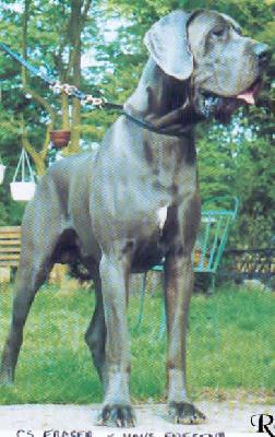 Eraser Vom Haus Fresena