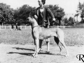 Ch Xylvie De La Templerie