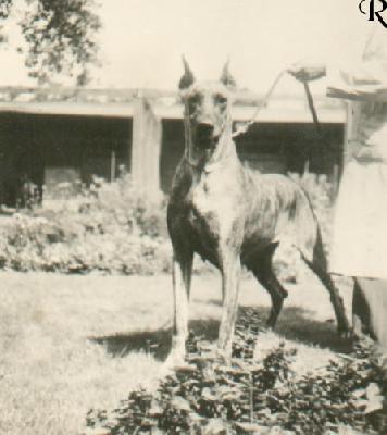Lilith Vom Birkenhof