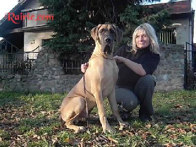 Uracho Lamborgini Des Terres De La Rairie