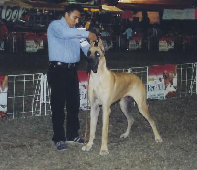 U�zeus Des Terres De La Rairie