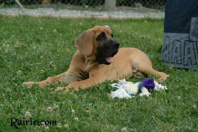 Uros Des Terres De La Rairie