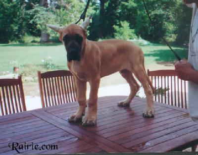 Utrillo Des Terres De La Rairie