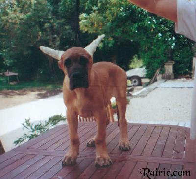 Utrillo Des Terres De La Rairie