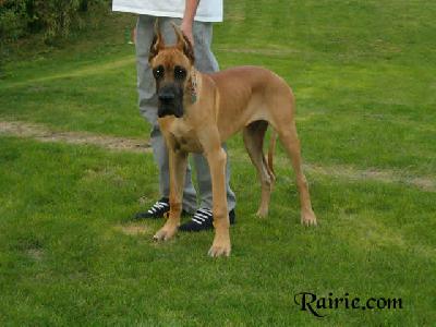 Utrillo Des Terres De La Rairie