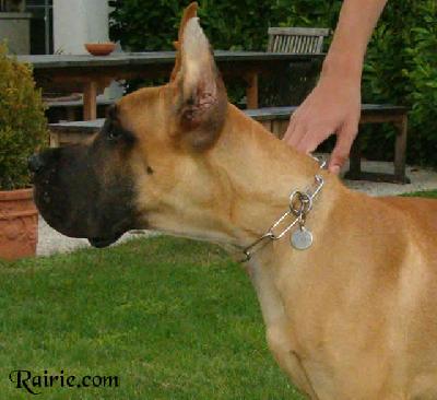 Utrillo Des Terres De La Rairie