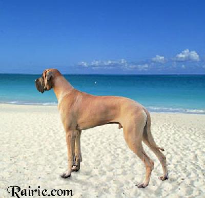 Uzumati Des Terres De La Rairie