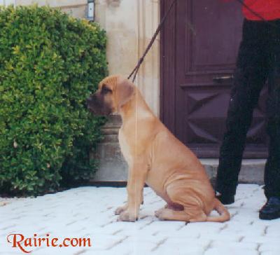 Uzumati Des Terres De La Rairie