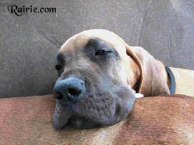 Uzumati Des Terres De La Rairie