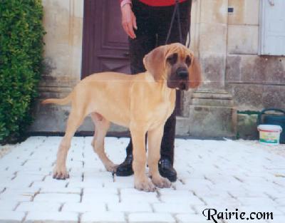 Uzumati Des Terres De La Rairie