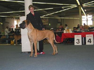 Jodie Bocca D�tigre