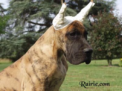 Uruguay Des Terres De La Rairie