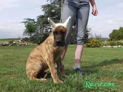 Uruguay Des Terres De La Rairie