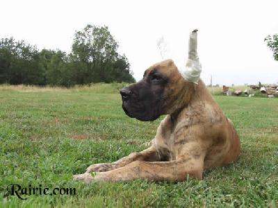 Uruguay Des Terres De La Rairie