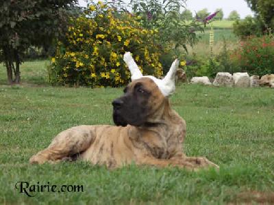 Uruguay Des Terres De La Rairie