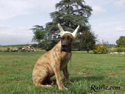 Uruguay Des Terres De La Rairie