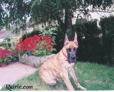 Uruguay Des Terres De La Rairie