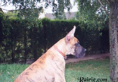 Uruguay Des Terres De La Rairie