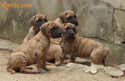 Umrah Des Terres De La Rairie