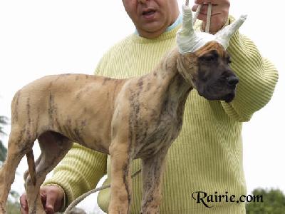 Umrah Des Terres De La Rairie