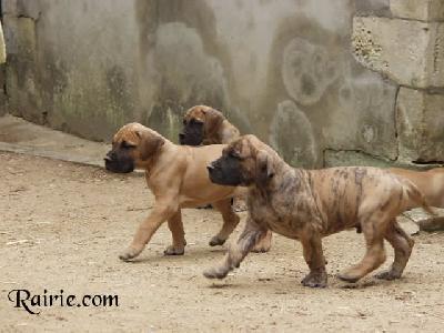Umrah Des Terres De La Rairie