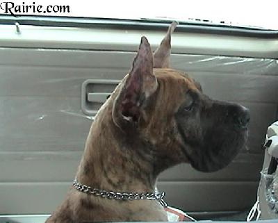 Umrah Des Terres De La Rairie