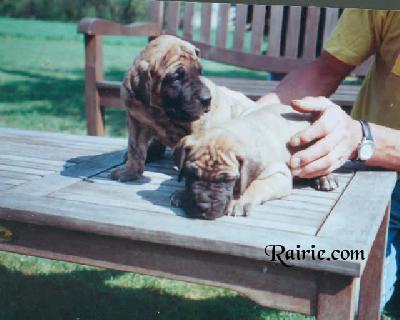 Ureine Des Terres De La Rairie