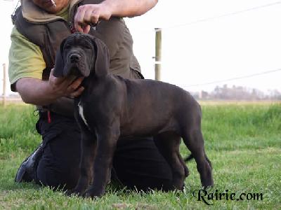 Uschie Des Terres De La Rairie