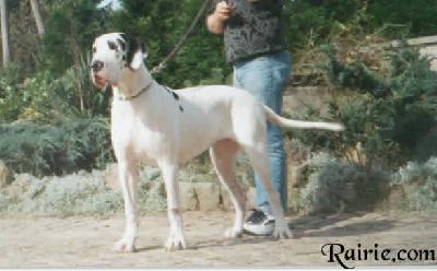 Yunita Von Saxenheim Sensation