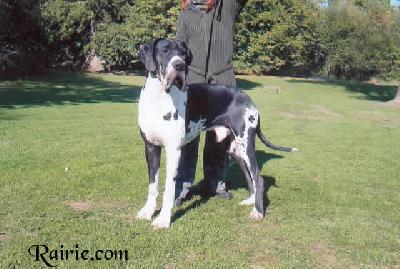 Theobald Dit Tolkien De La Templerie