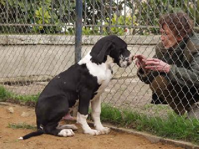 Theobald Dit Tolkien De La Templerie