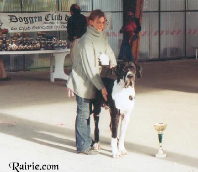 Theobald Dit Tolkien De La Templerie