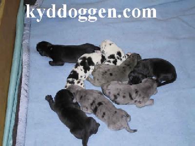 Cisco Vom Teufelsgrund