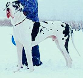 Gonzales Vom W�chterberg