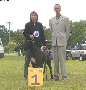 Grille Vom Wchterberg