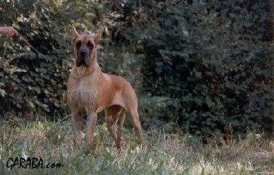 Lolita Des Petites Vernieres