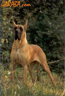 Lolita Des Petites Vernieres