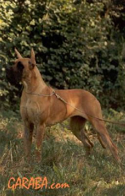 Lolita Des Petites Vernieres