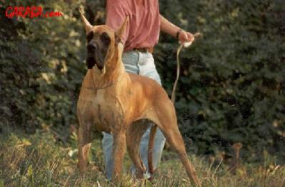 Lolita Des Petites Vernieres