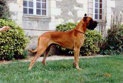 Iton Des Petites Vernieres