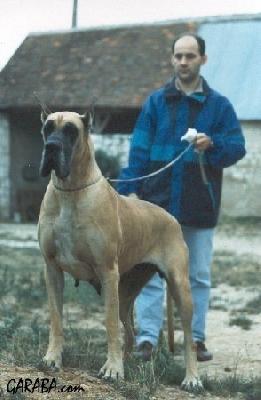 Ch Greta Des Petites Vernieres