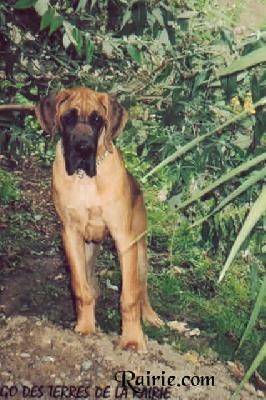 Ugo Des Terres De La Rairie